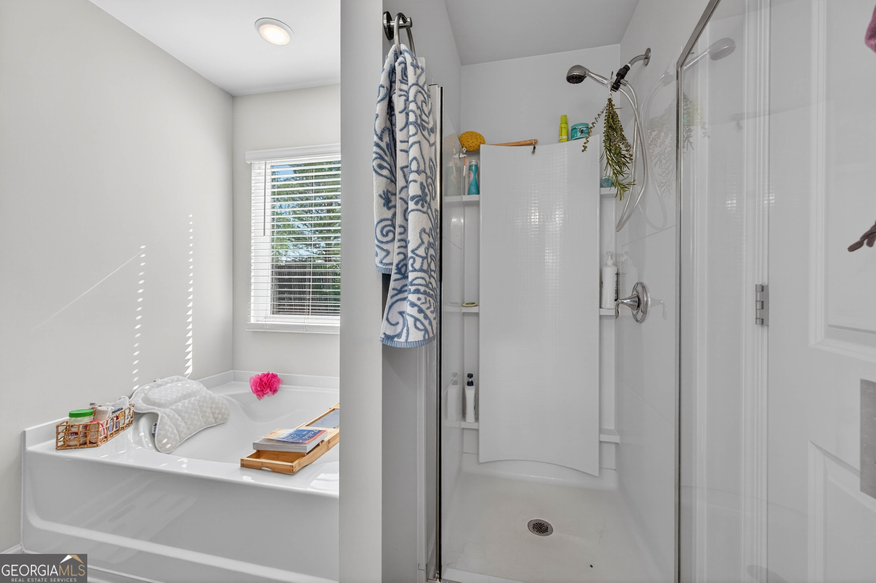 252 Regent Park Property Photo 14