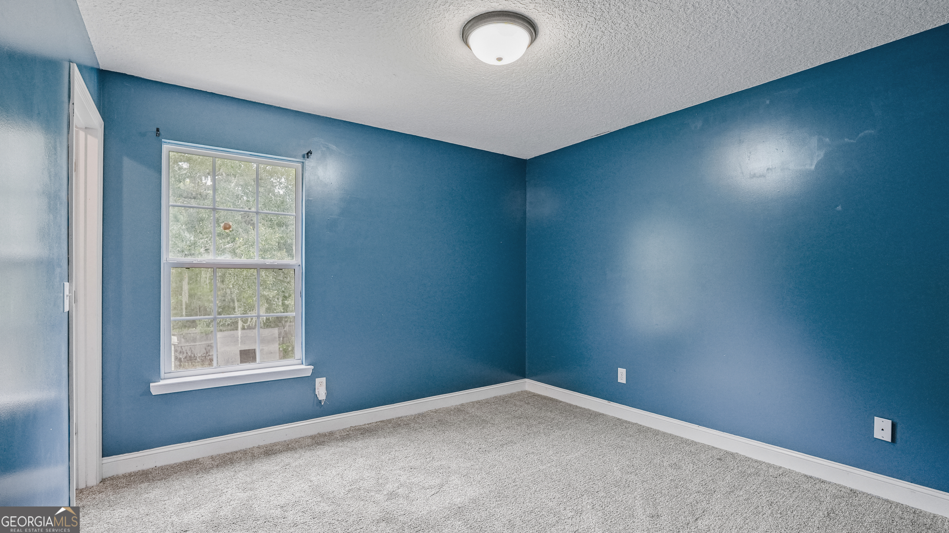 258 Nashview Trail Property Photo 38