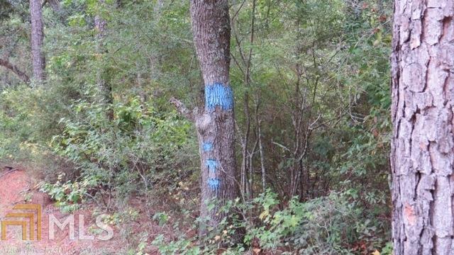 0 Area Line Road Property Photo 5