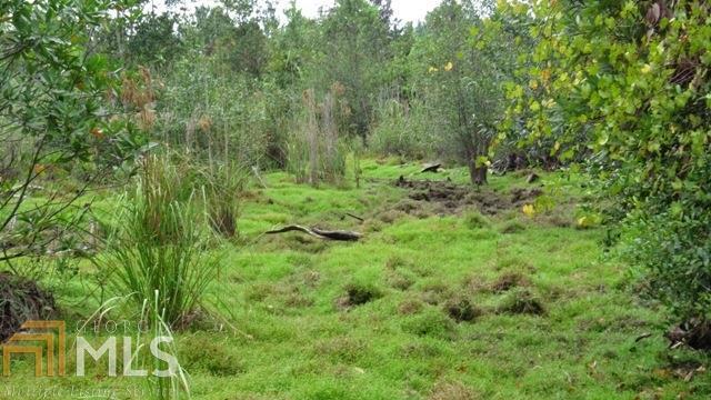 0 Area Line Road Property Photo 6