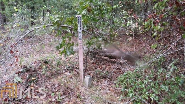 0 Area Line Road Property Photo 7