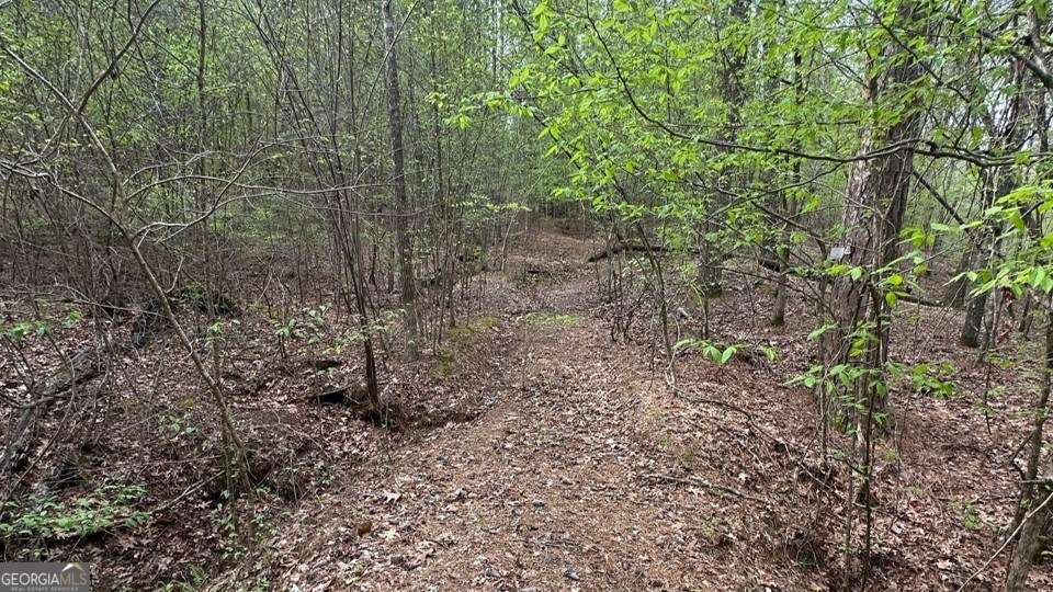 Lot #1 Frontier Shores Road Property Photo 3