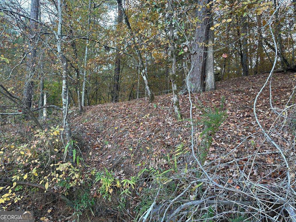 Lot #1 Frontier Shores Road Property Photo 6