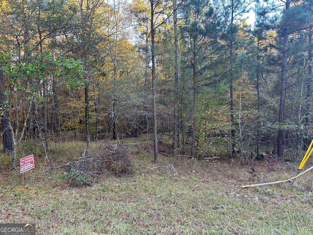 Lot #1 Frontier Shores Road Property Photo 7