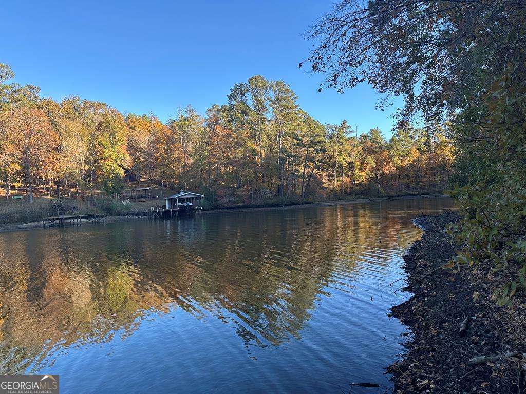 Lot #1 Frontier Shores Road Property Photo 8