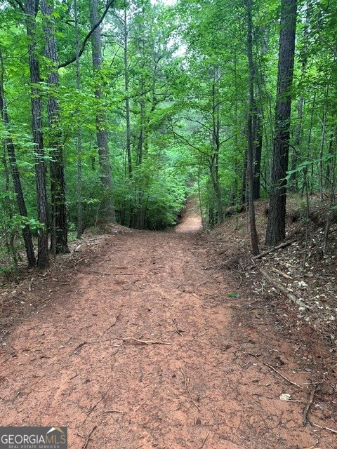Lot #1 Frontier Shores Road Property Photo 9