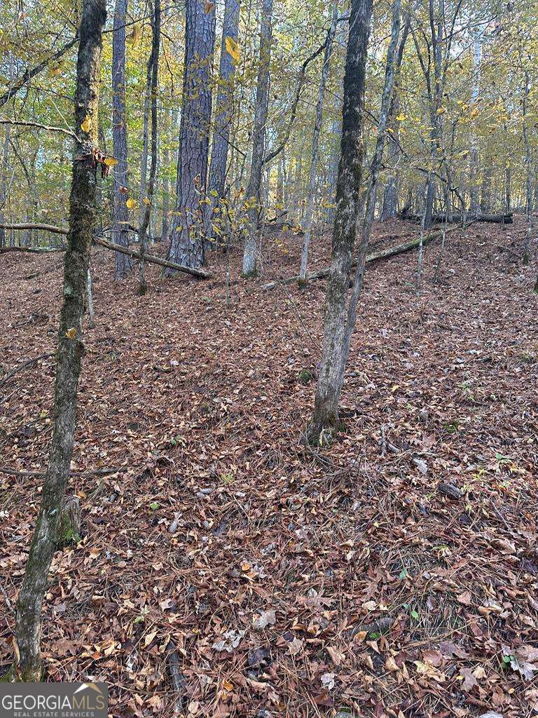 Lot #1 Frontier Shores Road Property Photo 10