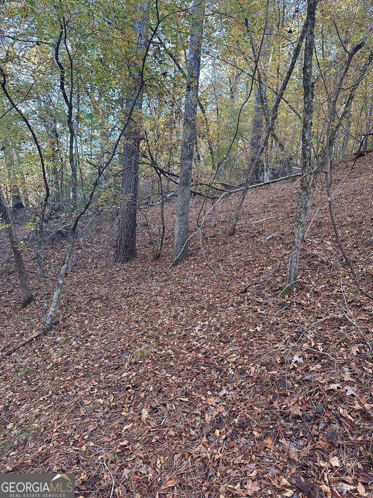 Lot #1 Frontier Shores Road Property Photo 11