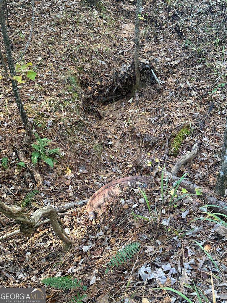 Lot #1 Frontier Shores Road Property Photo 12