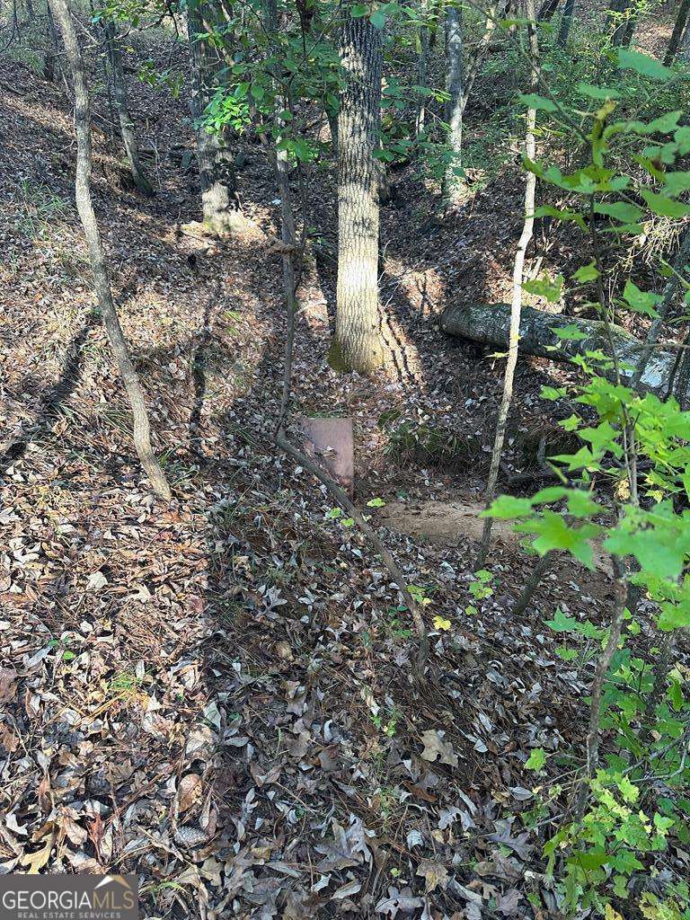 Lot #1 Frontier Shores Road Property Photo 13