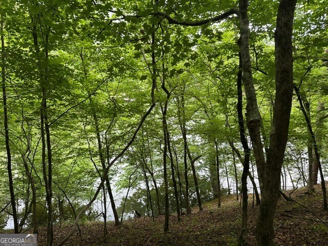 Lot #1 Frontier Shores Road Property Photo 14