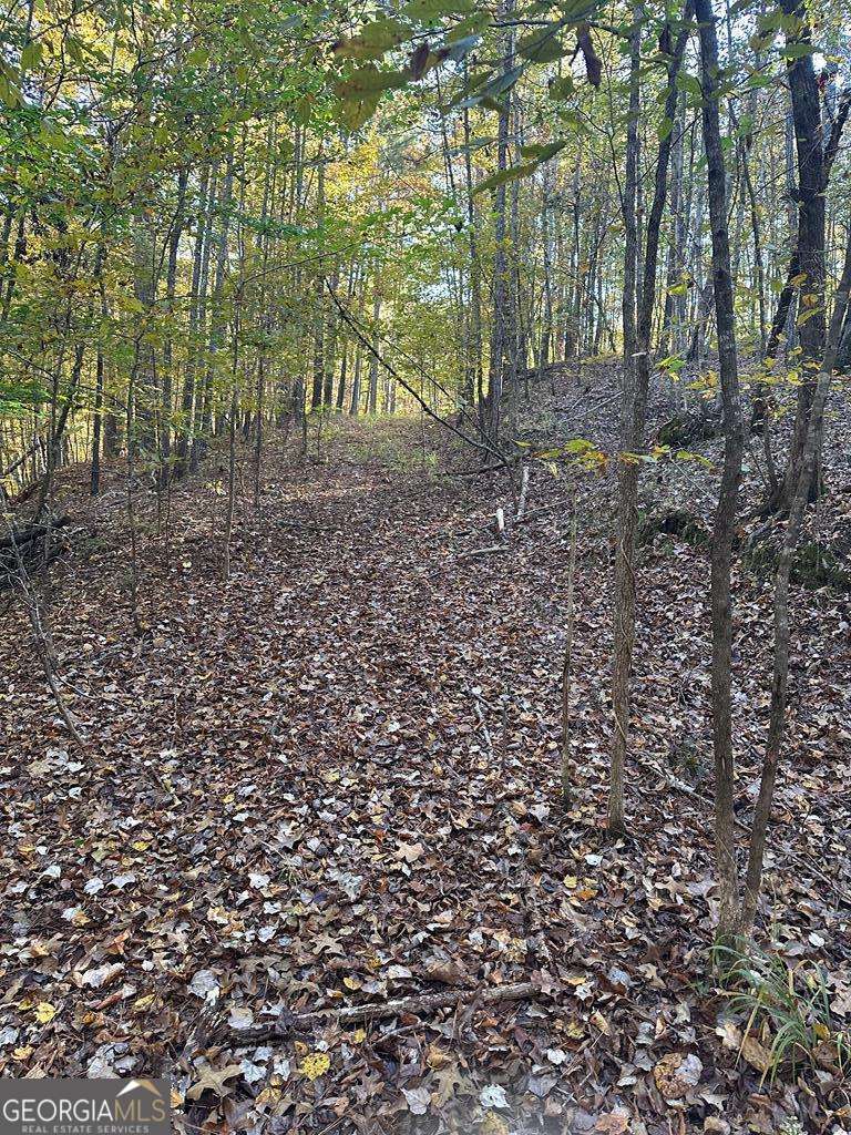 Lot #1 Frontier Shores Road Property Photo 15
