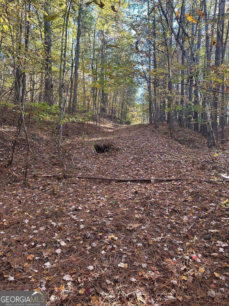Lot #1 Frontier Shores Road Property Photo 16