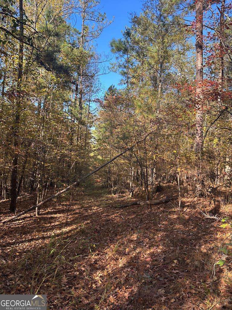 Lot #1 Frontier Shores Road Property Photo 17