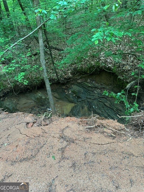 Lot #1 Frontier Shores Road Property Photo 18