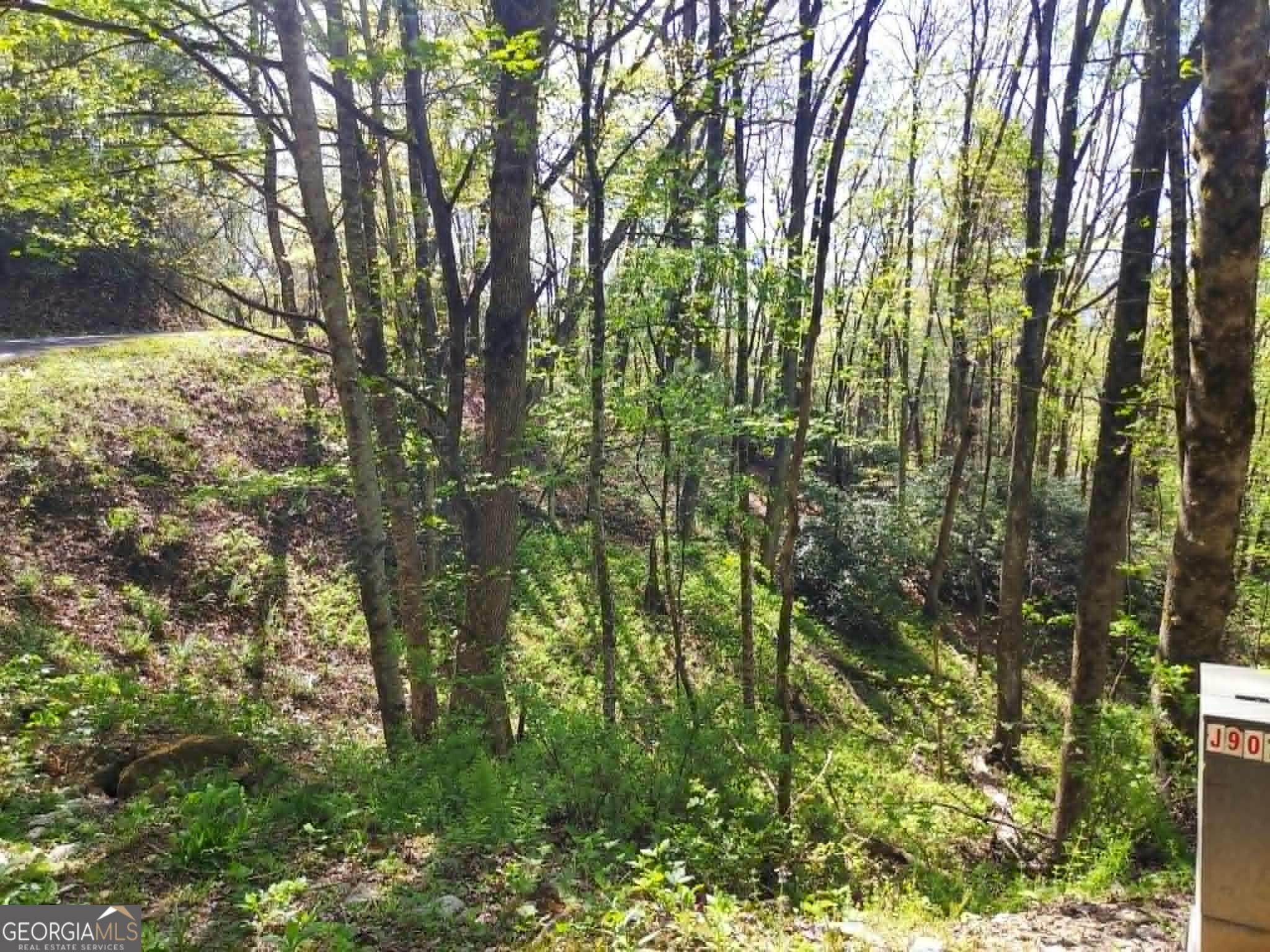 0 Lot 40 Pipetrack Gap Road Property Photo 3
