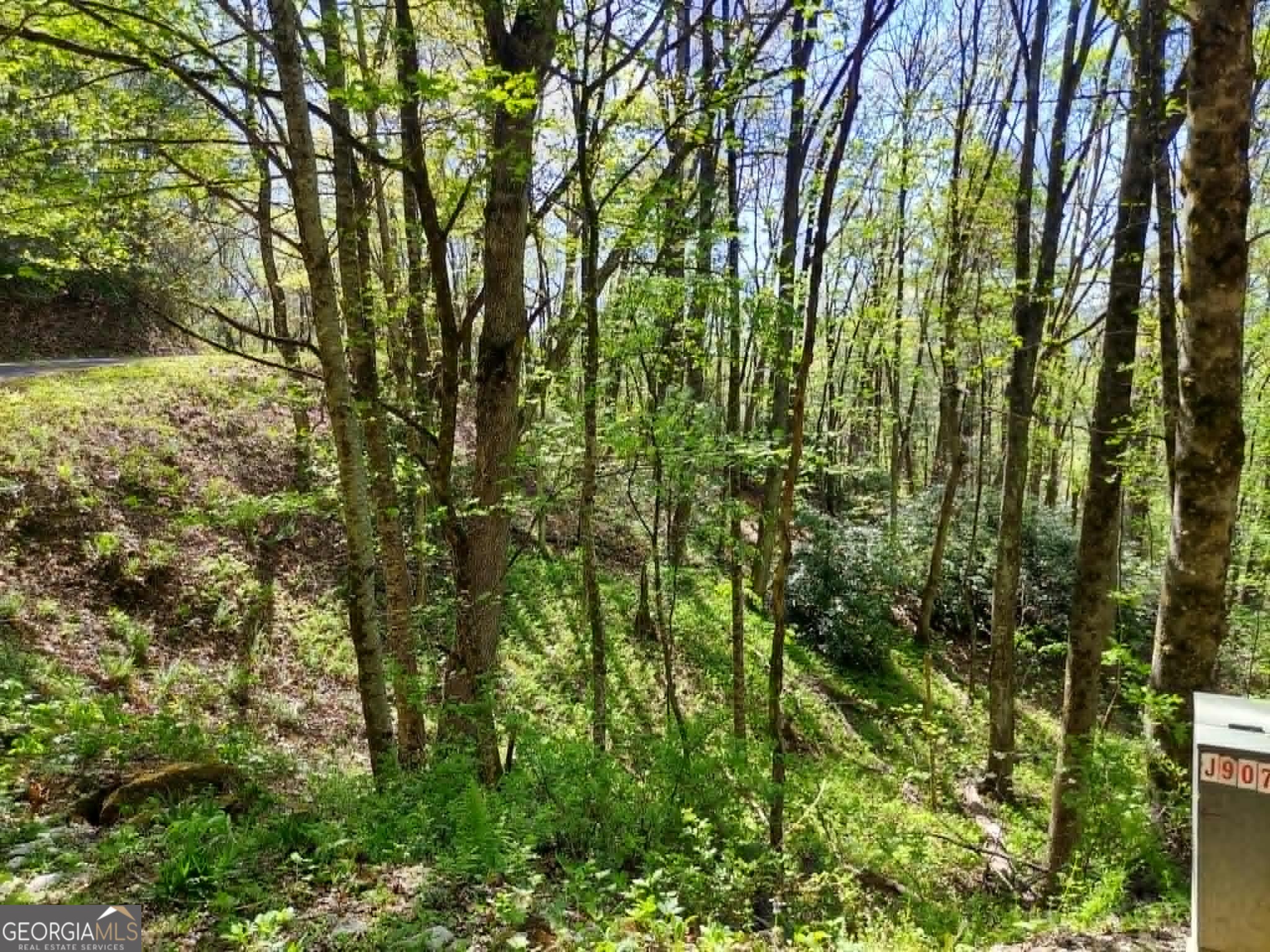 0 Lot 40 Pipetrack Gap Road Property Photo 4