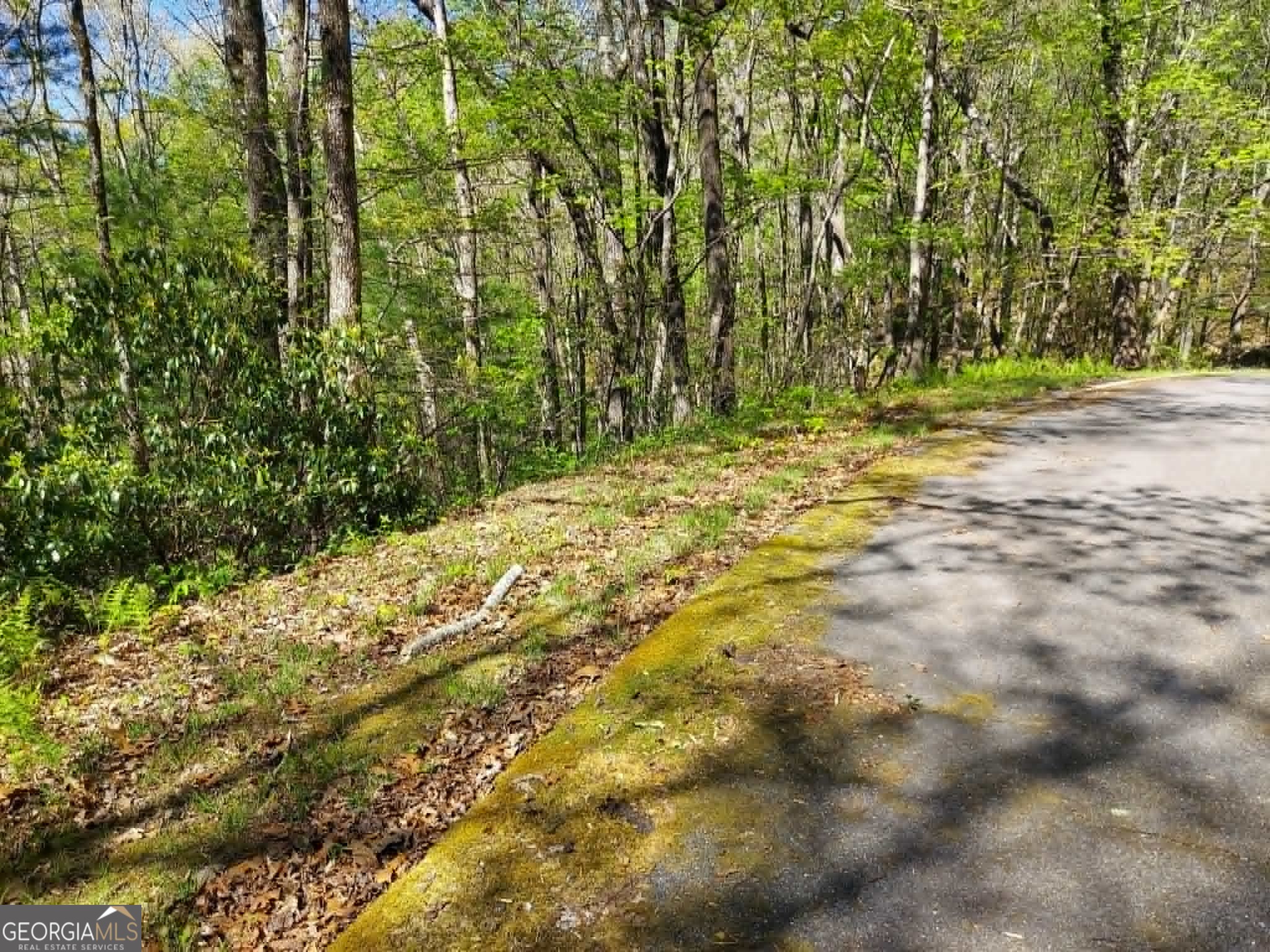 0 Lot 40 Pipetrack Gap Road Property Photo 7
