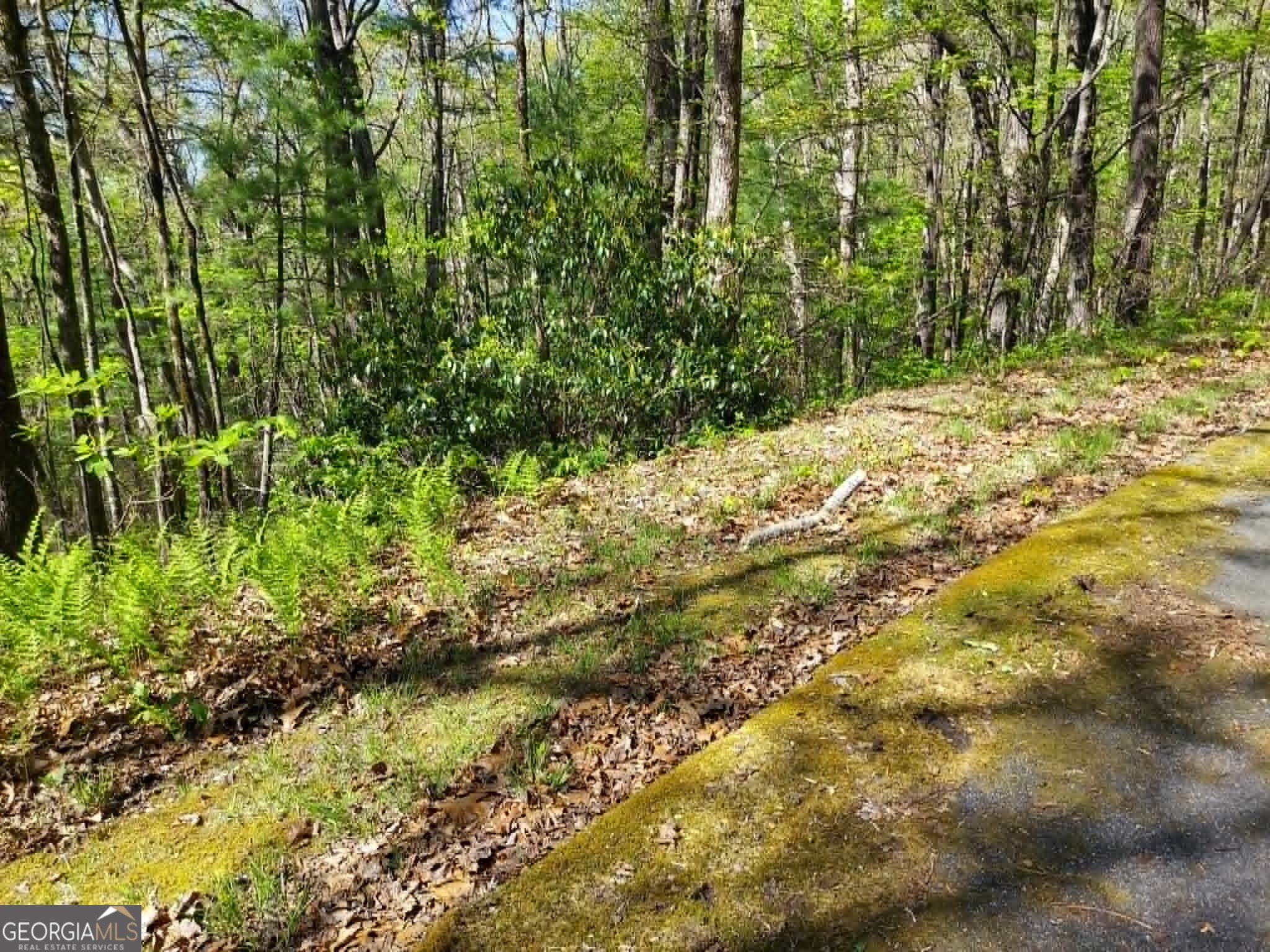 0 Lot 40 Pipetrack Gap Road Property Photo 9