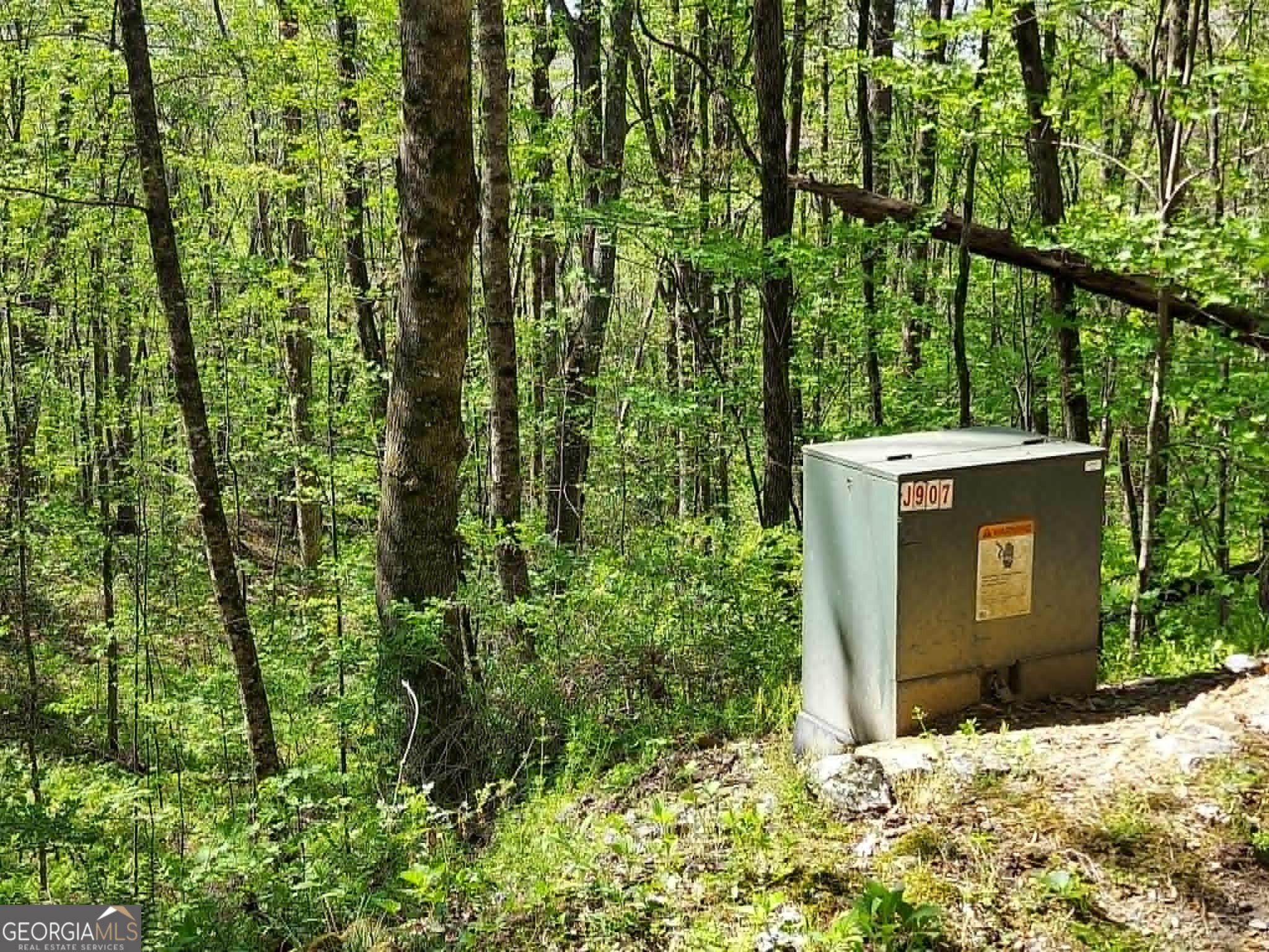 0 Lot 40 Pipetrack Gap Road Property Photo 10