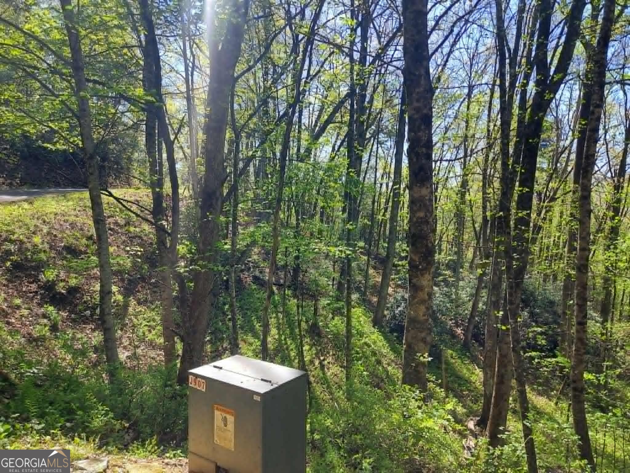 0 Lot 40 Pipetrack Gap Road Property Photo 11