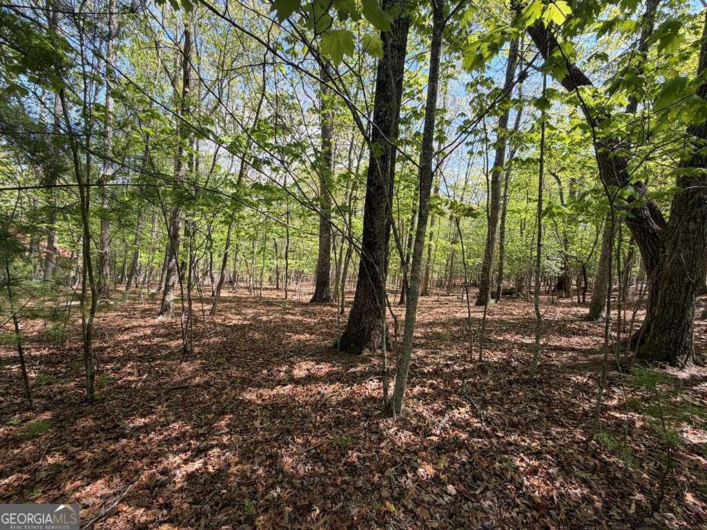 # 2 Amber Way Property Photo 6