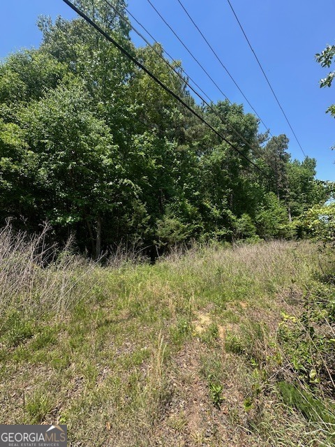 0 Mize Road Property Photo 3