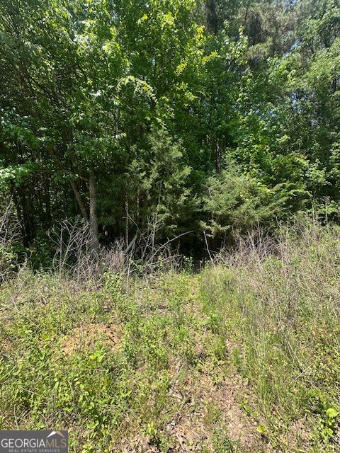 0 Mize Road Property Photo 4