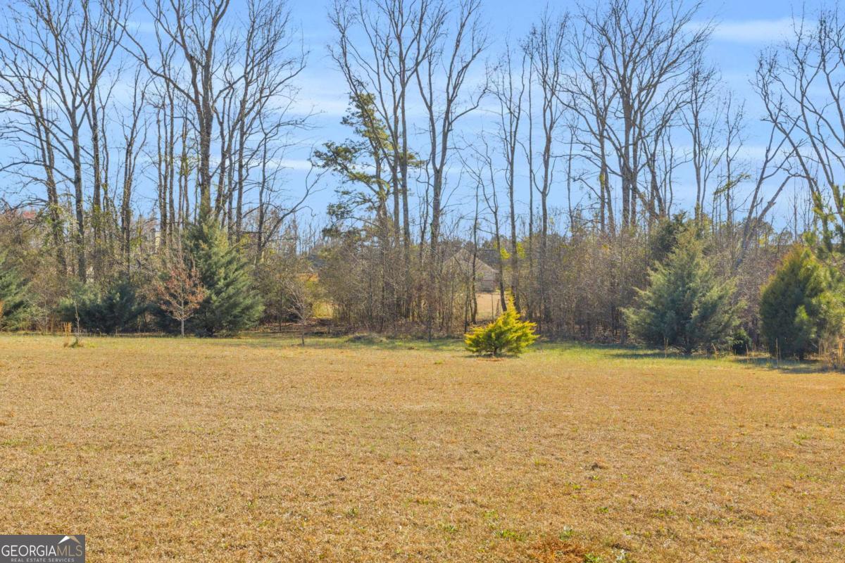 226 History Trail Property Photo 58