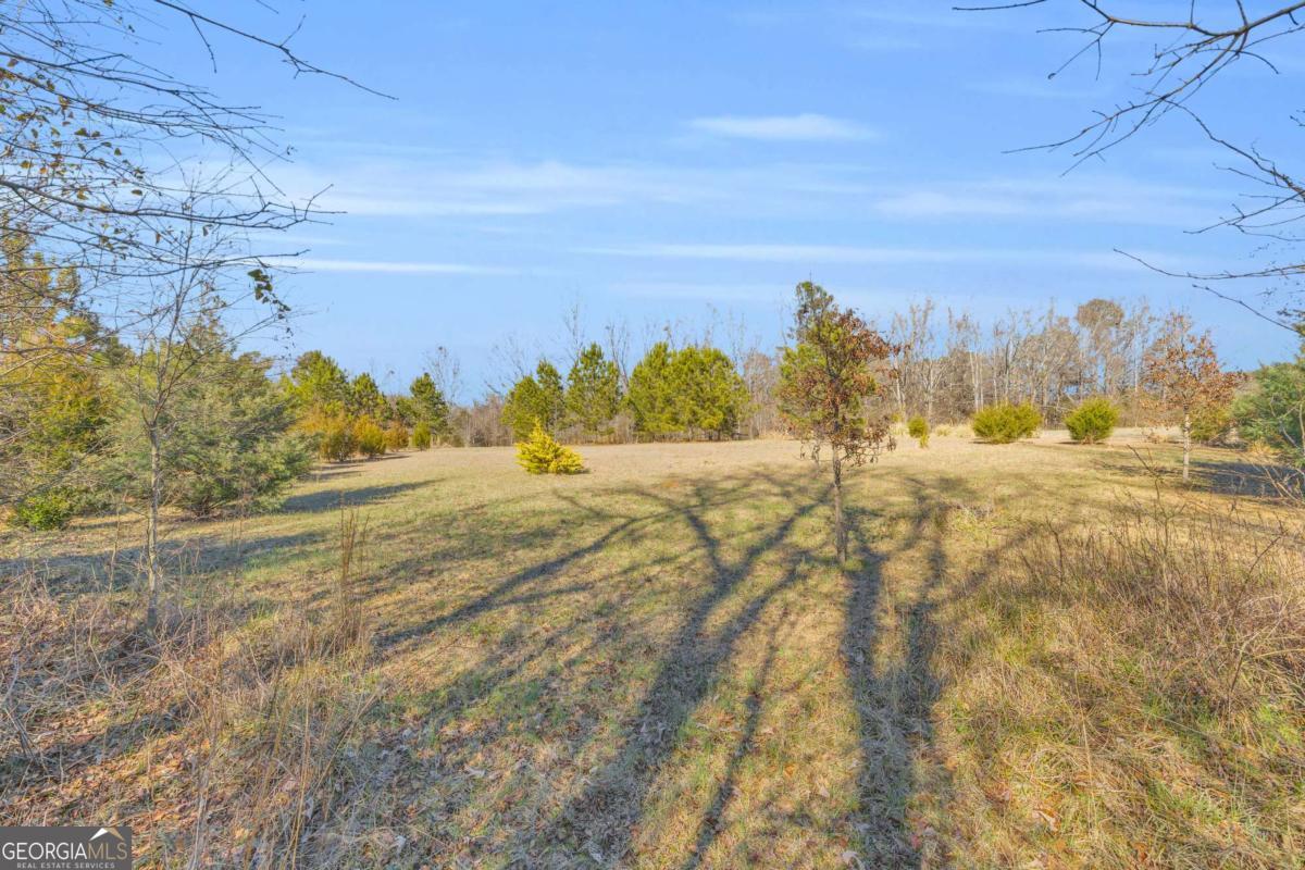 226 History Trail Property Photo 61