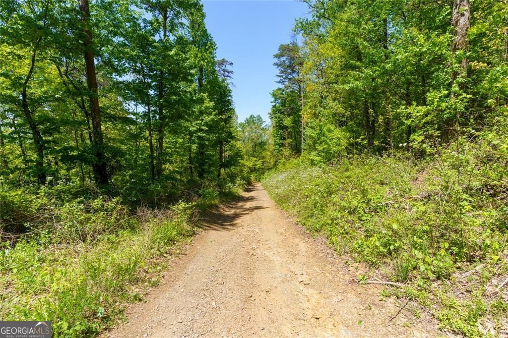 0 Fire Tower Road LOT 7 Property Photo 1