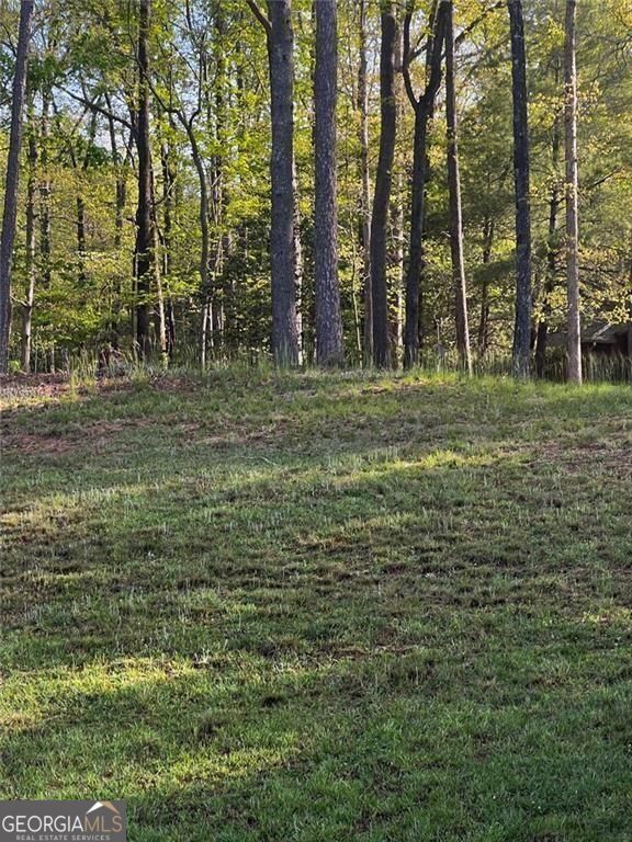 2658 Sconti View Drive Property Photo 10