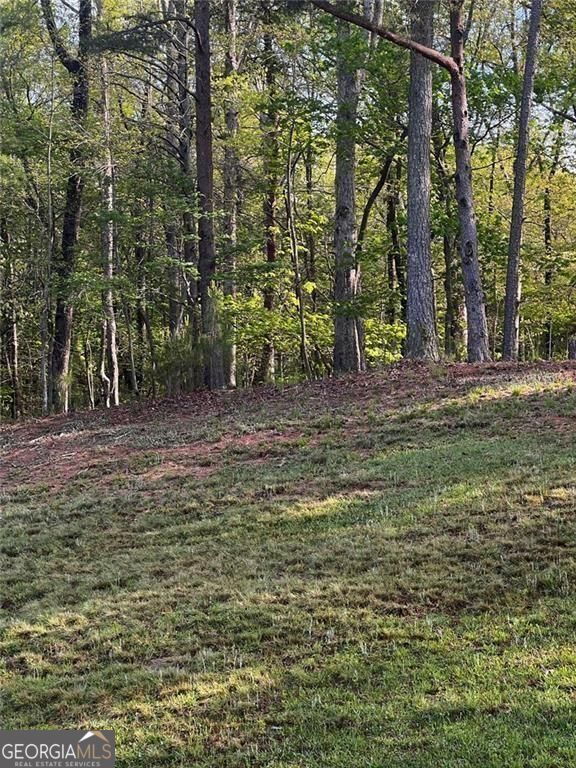 2658 Sconti View Drive Property Photo 11