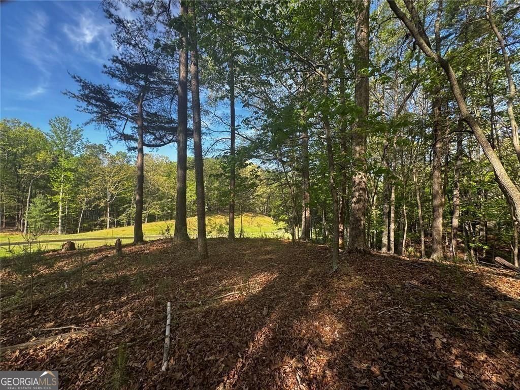 2658 Sconti View Drive Property Photo 13