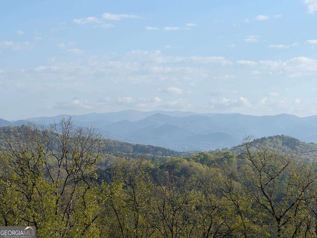 194 Quiet Woods Trail Property Photo 3