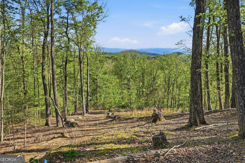 194 Quiet Woods Trail Property Photo 45