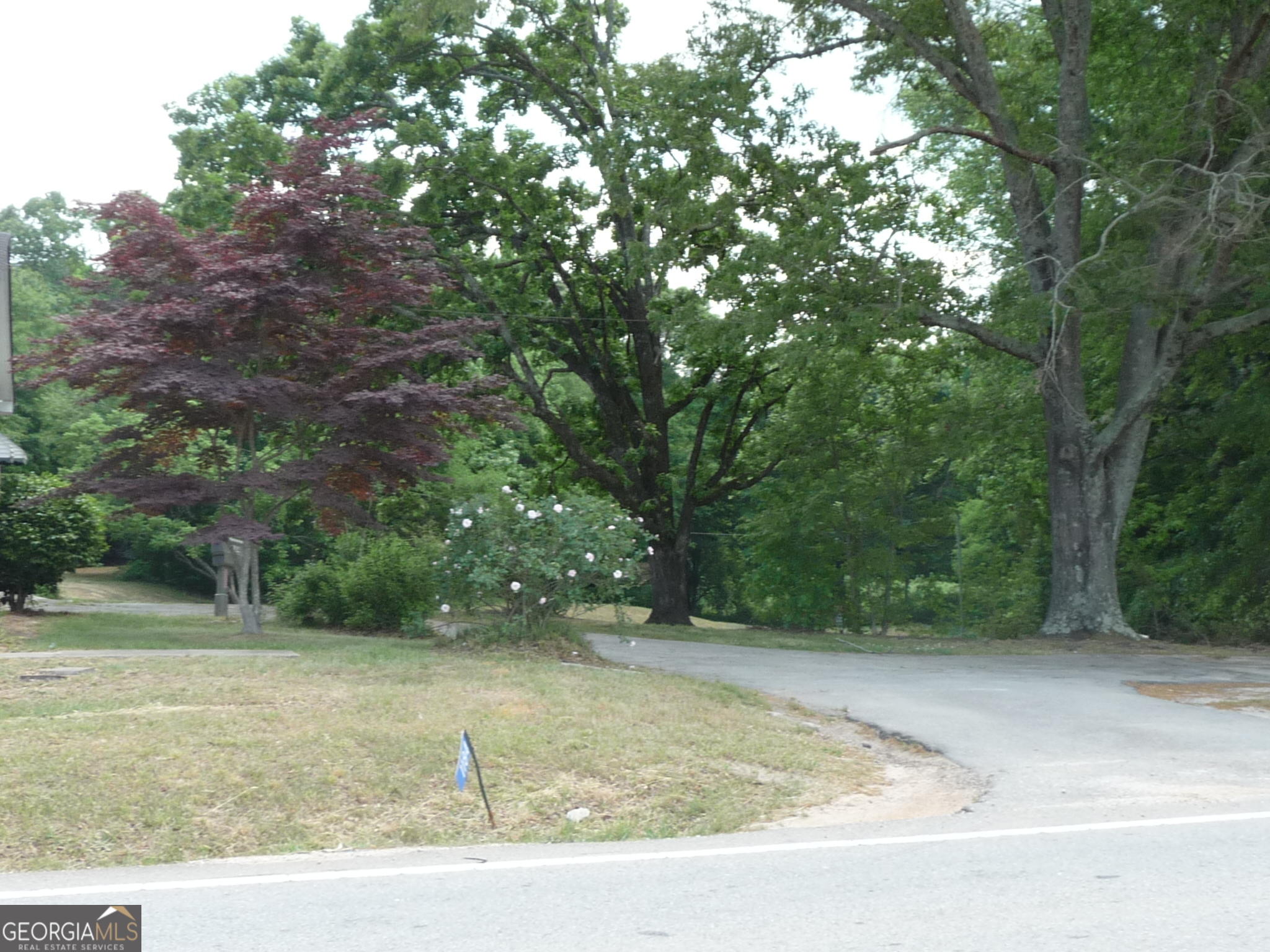 1184 Highway 124 Property Photo 4