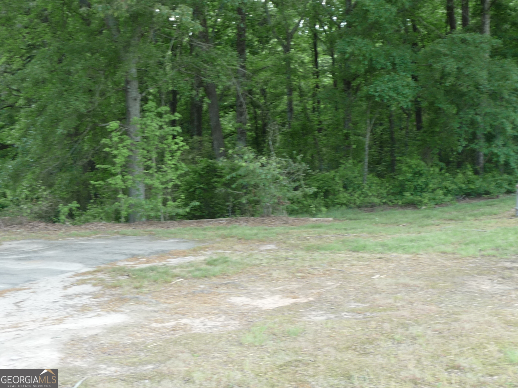 1184 Highway 124 Property Photo 5