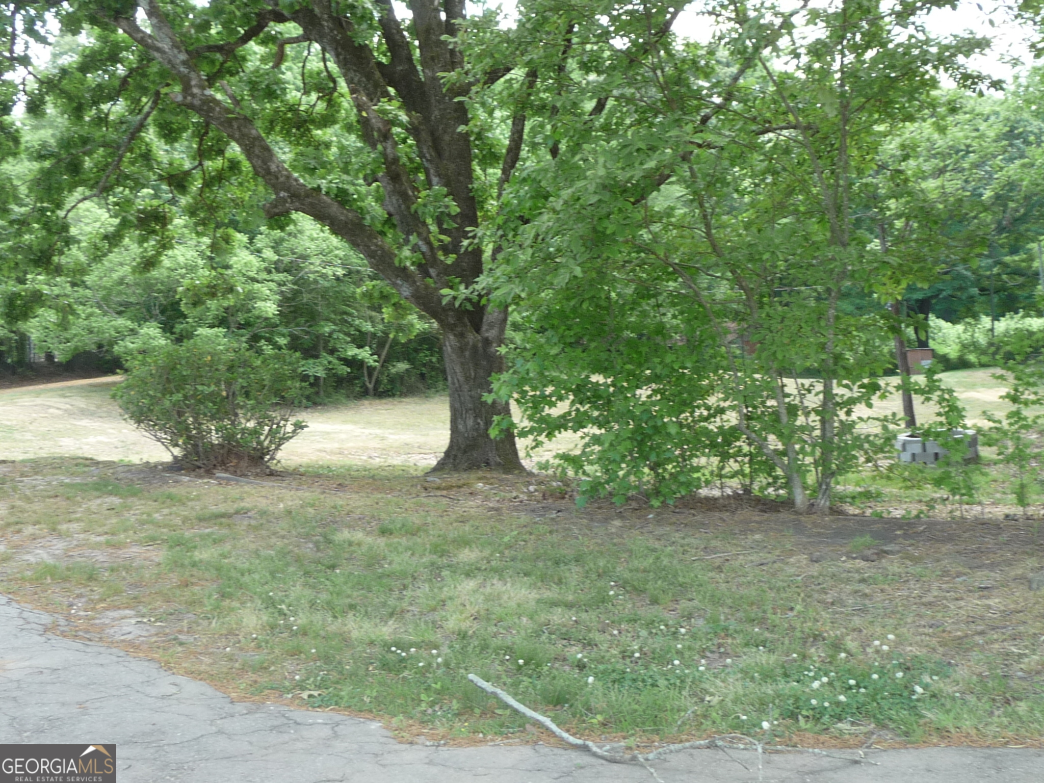 1184 Highway 124 Property Photo 6