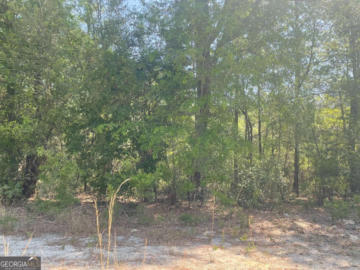 Lot 7 Riverbank Road Property Photo 1