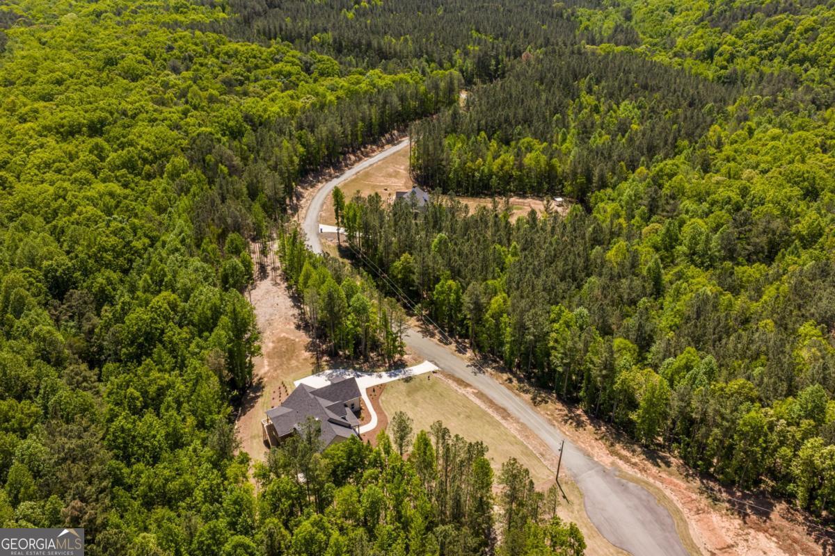 41 Lone Bear Path Property Photo 69