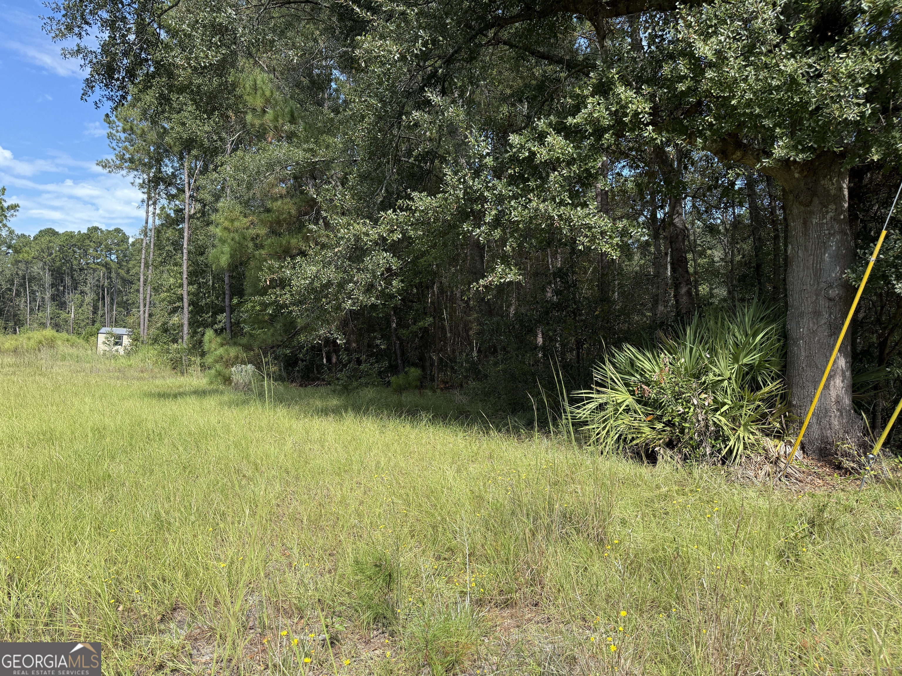 124 Oak Street Property Photo 4