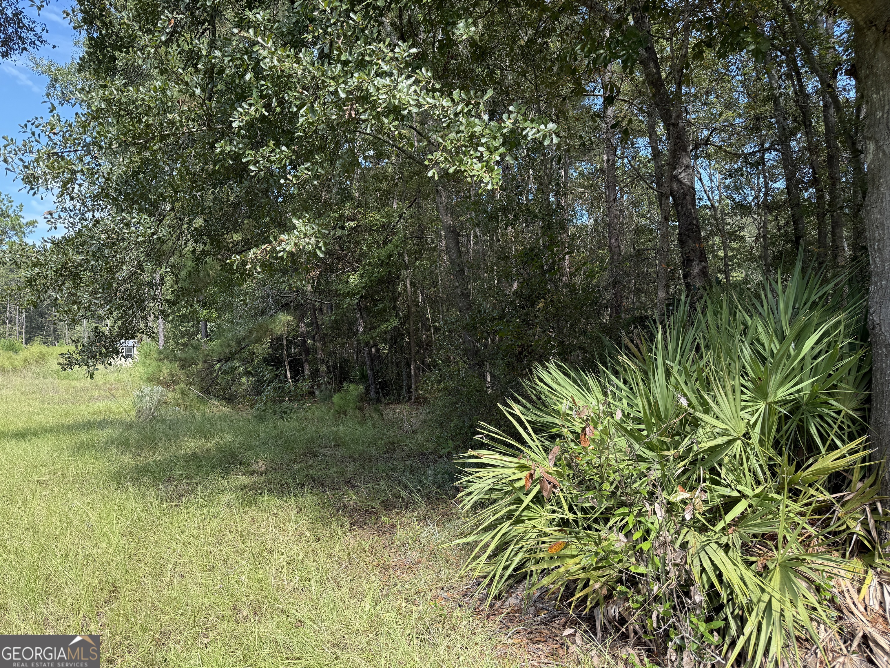 124 Oak Street Property Photo 5