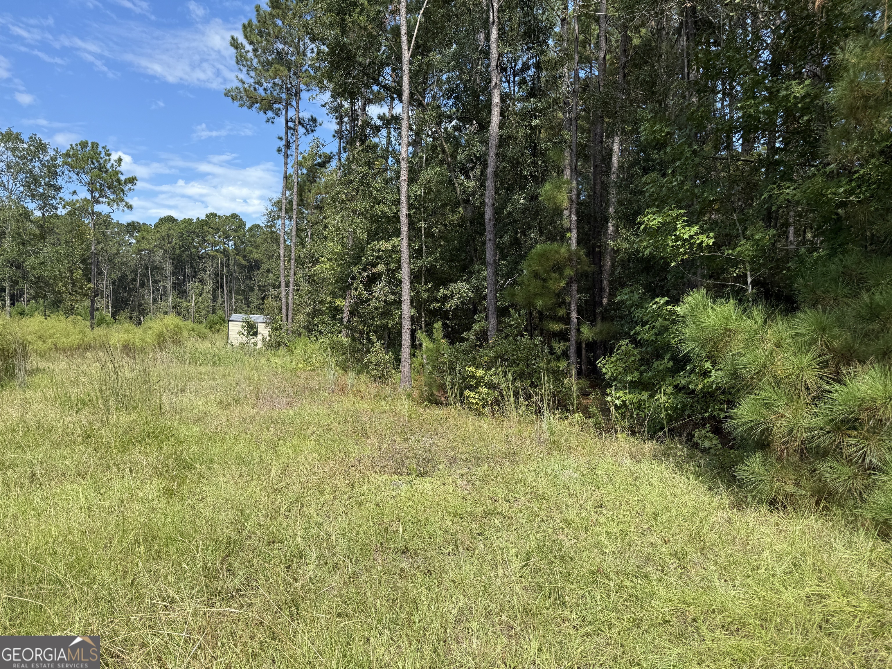 124 Oak Street Property Photo 6