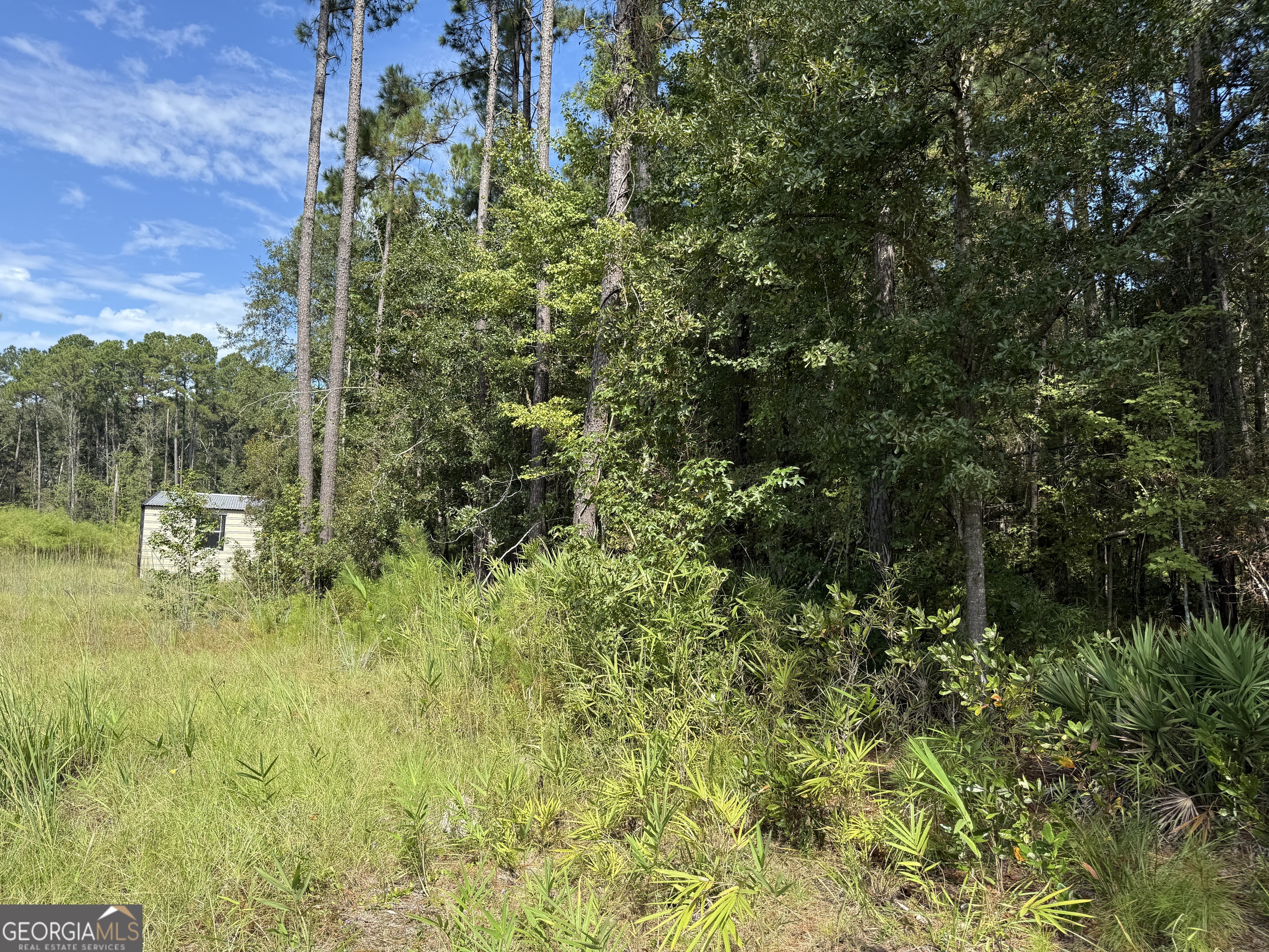 124 Oak Street Property Photo 7