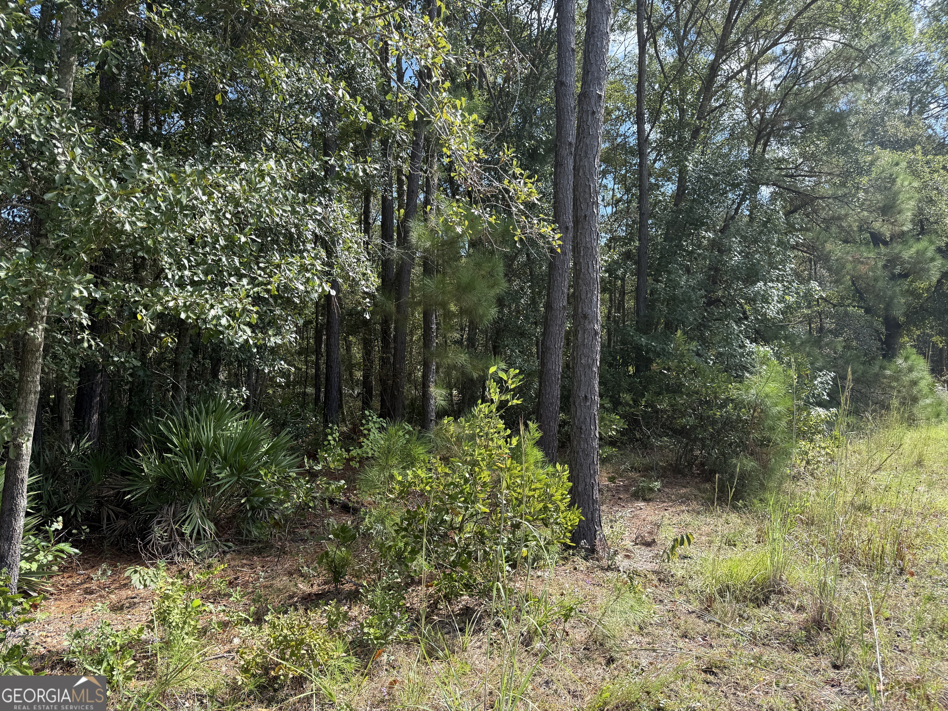 124 Oak Street Property Photo 8