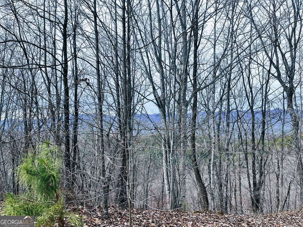 1441 Valley View Heights Lane Property Photo 4