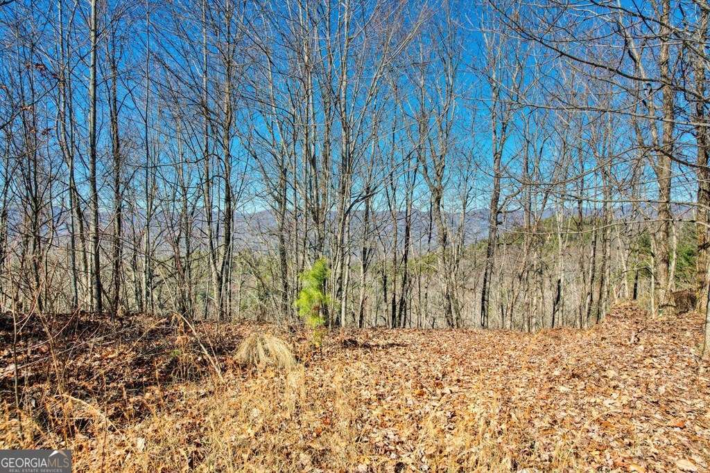 1441 Valley View Heights Lane Property Photo 7