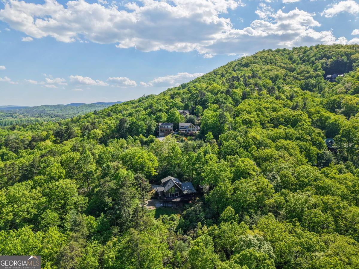 410 Falling Springs Property Photo 52