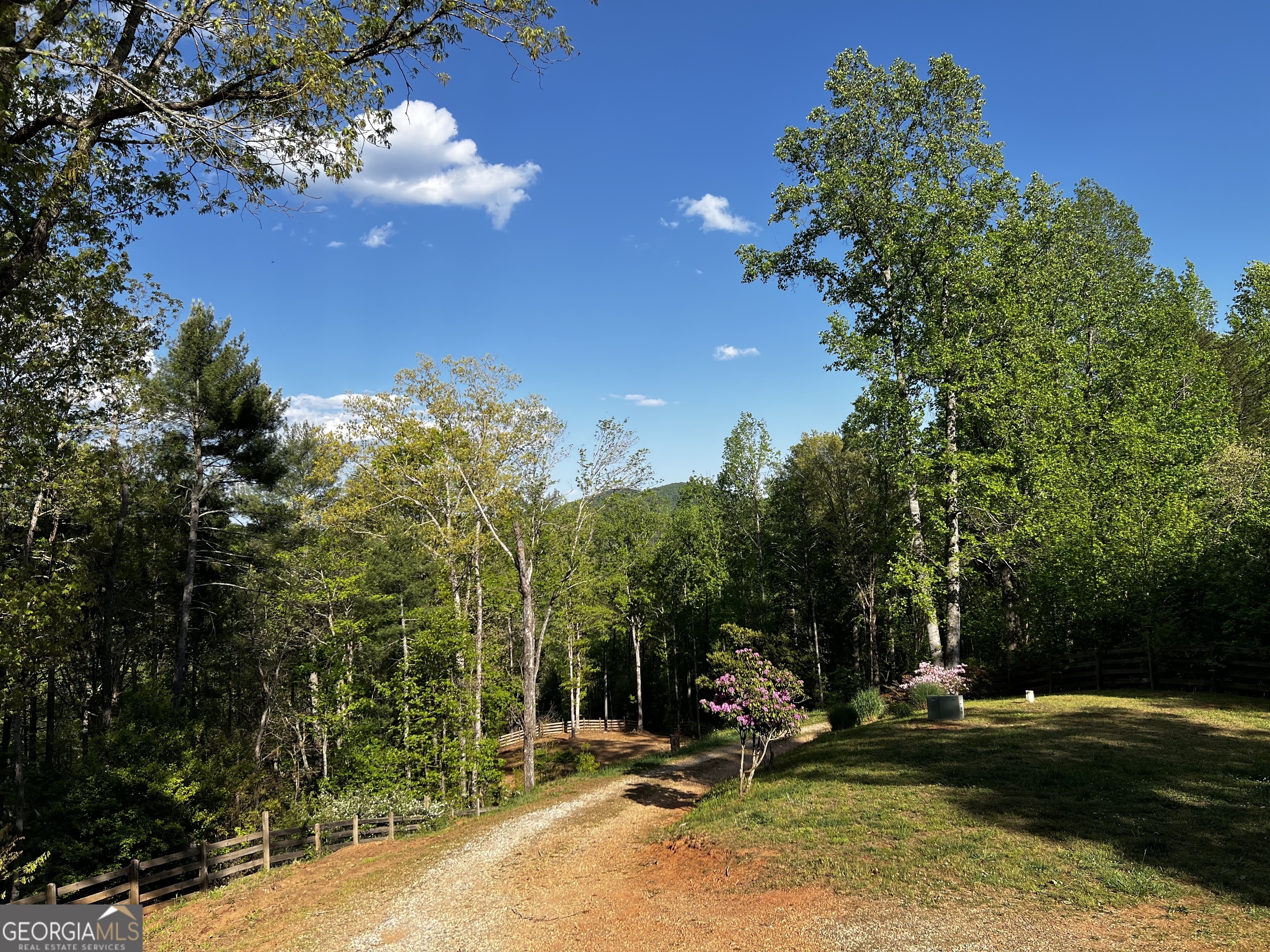 221 Muscadine Road Property Photo 29